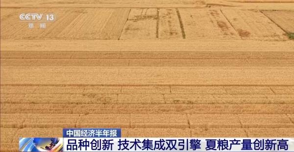 我国夏粮产量创新高丰收的背后有哪些硬核支撑?