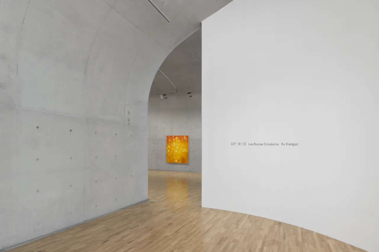 时隔17年艺术家徐小国回沪举办大型个展“回环”