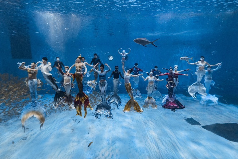 体育盛会激活文商体旅新动能2025中国美人鱼公开赛上海海昌站圆满落幕