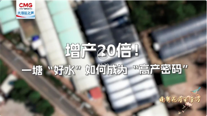 南粤花开百千万增产20倍!揭开这支团队的“养殖密码”
