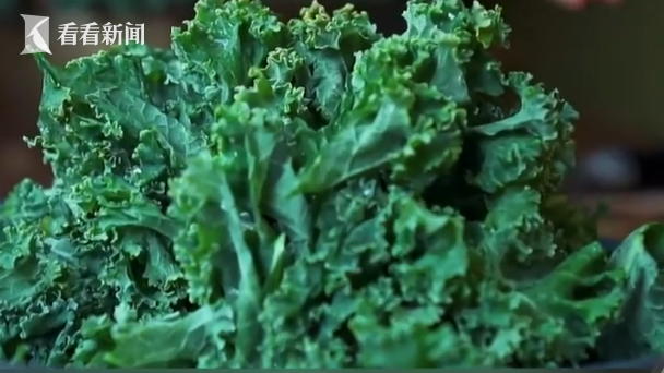 羽衣甘蓝盆栽被抢购超级食物还是智商税?